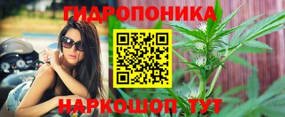 наркотики Гатчина
