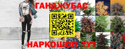 наркотики Гатчина