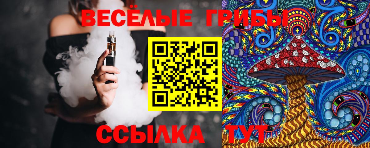 Псилоцибиновые грибы Psilocybine cubensis  Вход с VPN  Нерюнгри  Псилоцибиновые грибы прущие грибы 